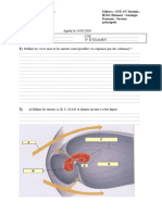 Geologie Generale Examen1