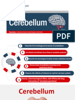 Cerebellum