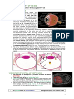 Week 4 - Development of The Eye