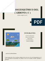 Ciclo Biogeoquímico Del Carbono