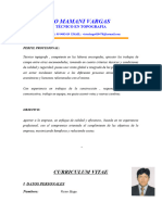 Ctor Hugo Mamani Vargas: Curriculum Vitae