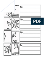 Recortable Función de Las Partes de Las Plantas