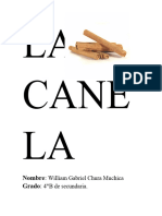 La Canela