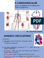 Anatom - Clase 6