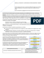 U.7 Anatomia