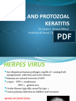 792 Viral Protozoal Corneal Ulcer