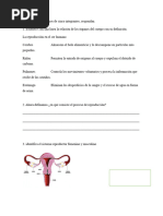 Sistema Reproductor, Hormonas. Pubertad.