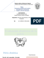 Evaluacion de La Pelvis