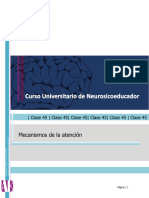 Apunte C - Atencion - Ceguera Al Cambio Feneomeno Fiesta