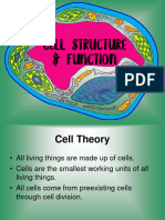 Cell Structure Function