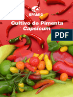 Pimenta Capsicum