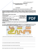 Prueba Biologia Sistema Digestivo y Respiratorio 8abbbbbb