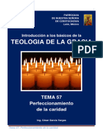 TEMA - 57 - Perfeccionamiento de La Caridad