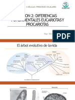 Sesion 2 Diferencias Fundamentales Eucariotas y Procariotas