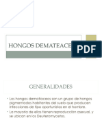 Hongos Demateaceos y Hialifomicosis