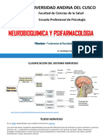 Fundamentos de Neurobiología