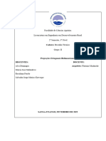 Projeçoes Ortogonais Bidimencionais