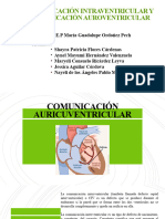 Comunicación Intraventricular y Comunicación Auroventricular