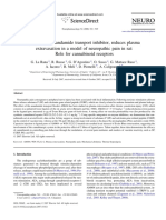 AM404 Anandamide Reuptake Inhibition-2p