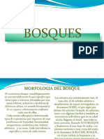 BOSQUES 13273 y 26631 Y SUPERFICIE Cuadro