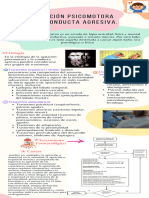 Agitacion Psicomotora y La Conducta Agresiva