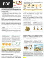 Ficha de Trabajo 2 - Unidad 5 - III Trimestre - Reproduccion I Parte - 2do