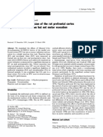 6-Hydroxydopamine Lesion of The Rat Prefrontal Cortex