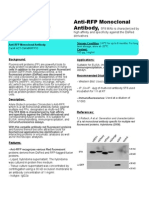 Anti-RFP (5F8) Monoclonal Antibody