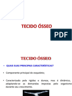 Aula 2 - Tecido Osseo2