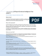 The-Schutte-Self-Report-Emotional-Intelligence-Test SSEIT