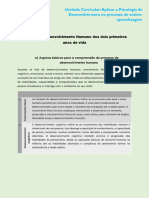 Tema 4 - O Desenvolvimento Humano Dos Dois Primeiros Anos de Vida