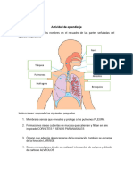 Actividad de Aprendizaje Aparatos y Sistemas