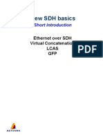 Ethernet Over Sonet VCAT LCAS GFP