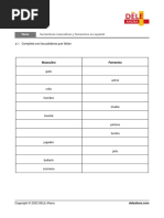 Sustantivos Masculinos y Femeninos en Espanol