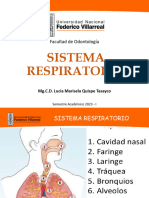 Sistema Respiratorio TEORIA