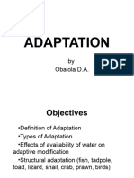 Adaptations