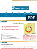 Ciclo Celular