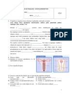 Ficha de Trabalho - Sistema Reprodutor 03