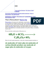 Photosynthesis