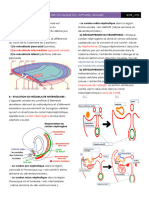 L'origine Embryologique de L'appareil Urinaire Par @DR - Lyes