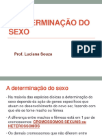 Herança Do Sexo