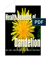 2023 - George Felfoldi (eBook-Herbal) Health Benefits of Dandelion, 153 Pages