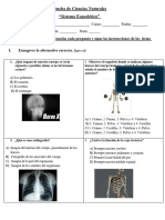 Prueba de Ciencias Naturales Sistema Esqueletico