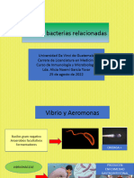 Vibrio y Aeromonas