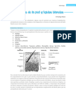 Infecciones de Piel y Tejidos Blandos Editado