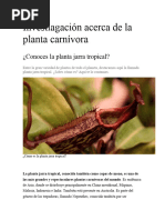 Investigación Acerca de La Planta Carnívora