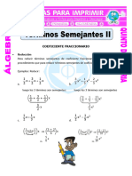 Terminos Semejantes Con Coeficiente Fraccionario para Quinto de Primaria