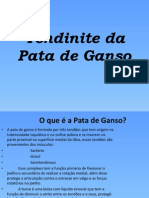 Tendinite Da Pata de Ganso