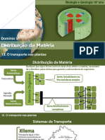 BioGeo10 Transportes Plantas