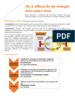 Transformação e Utilização de Energia Pelos Seres Vivos